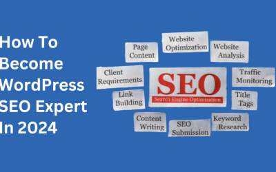 How to Become an WordPress SEO Expert in 2024